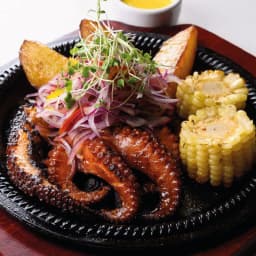 PLANCHA ANTICUCHERA DE PULPO
